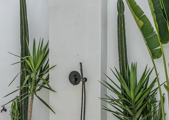 Modern Tropical 1br & 2br Private Pool Villa
